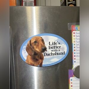 Weiner Dog Dachshund Lover Puppy Doggy Refrigerator Magnet Car Sign Home Decor